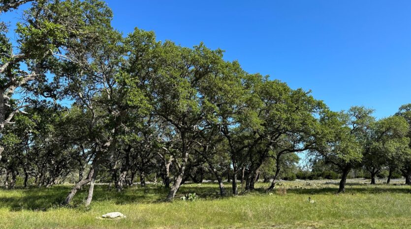 Lot 125 Red Stag Ct