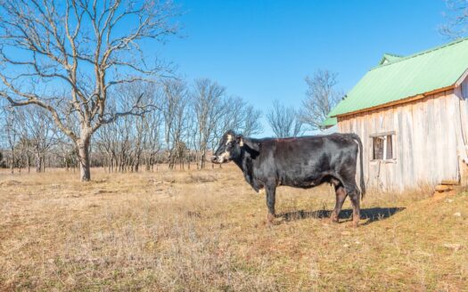 Texas Hill Country