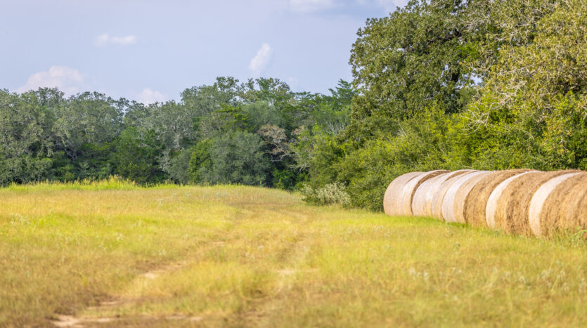3G Ranch