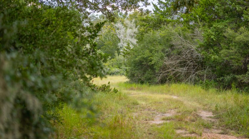 3G Ranch