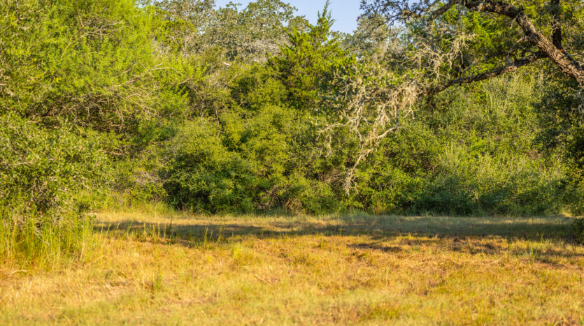 3G Ranch