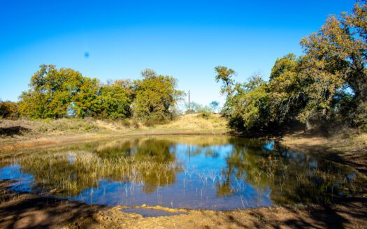 Pond water feature on ranch land in Richland Springs Texas with trees and native grass