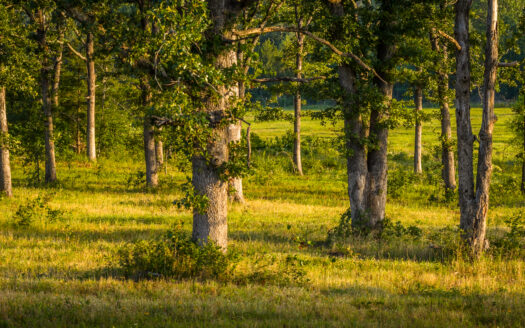 Parsley Creek Ranch