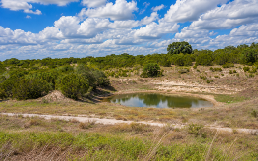 Lot 100 River Shoals