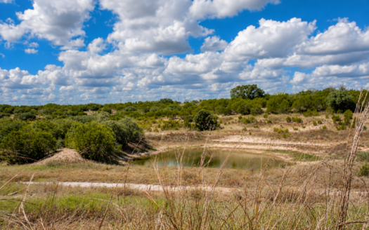 Lot 100 River Shoals